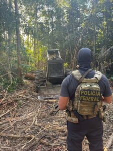 PF Prende Quatro em Operação Contra Desmatamento Ilegal em Santarém